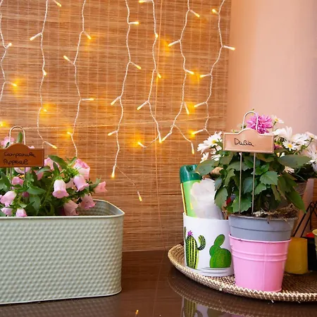 Charming And Cozy House 아파트 네뚜노