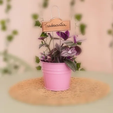 Charming And Cozy House * Неттуно